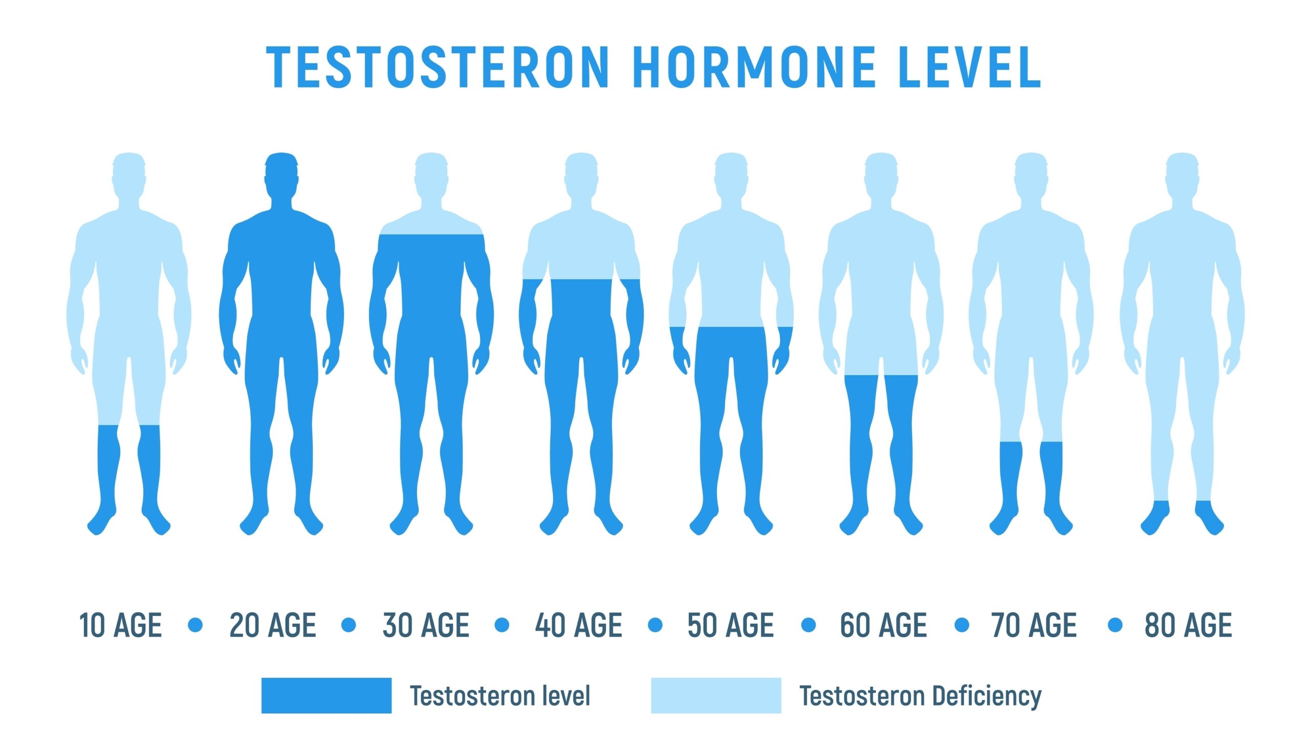 An illustrated timeline of testosterone reduction in men as they age used to determine whether someone is a good candidate for low testosterone treatment options.
