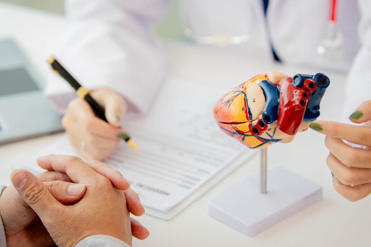 A close-up of a doctor using a model of the human heart to explain a cardiac risk assessment to a patient.