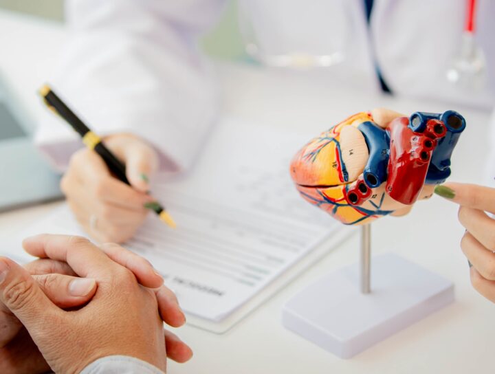 A close-up of a doctor using a model of the human heart to explain a cardiac risk assessment to a patient.
